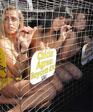 femmes-nues-en-cage.jpg
