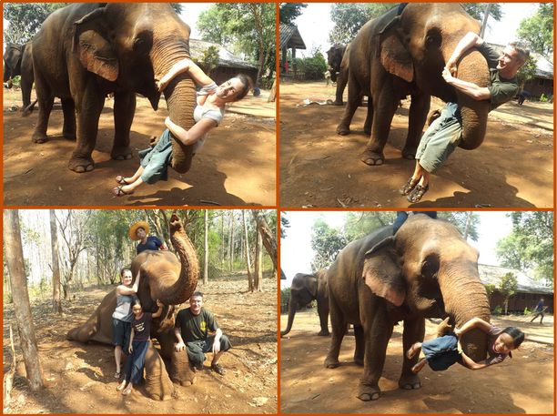 02-Bangkok-J5-Ganeshapark-acrobaties avec elephant