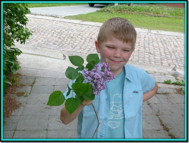 http://img.over-blog.com/614x467/1/82/52/52/API/2012-05/15/P1020637_thumb.jpg