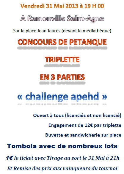 Vendredi-31-Mai-2013-a-19-H-00.pdf---Adobe-Reader-26042013.jpg