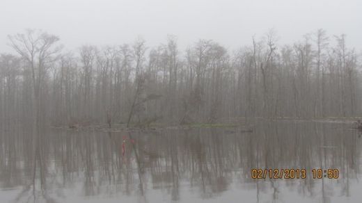 Sinkhole_Louisiane_12_02_2013.jpg