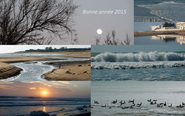 Montages.jpg