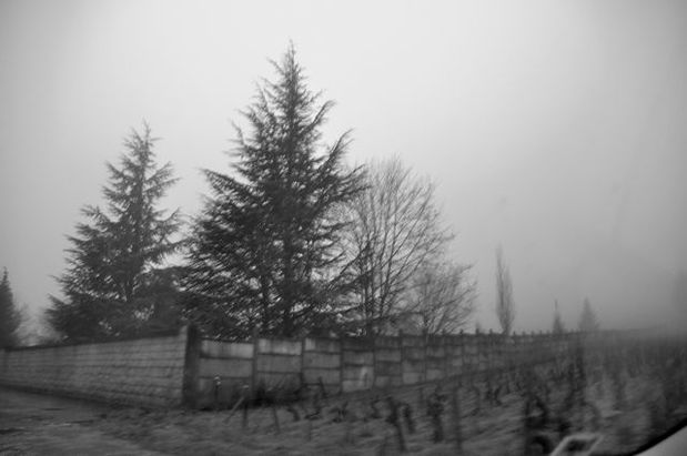 7-copie-1