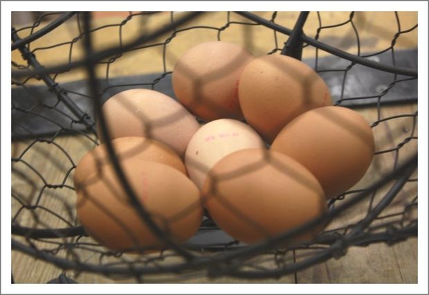 oeufs