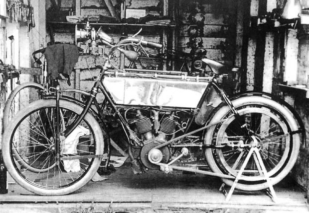 Tasmanie-Alcyon465.jpg
