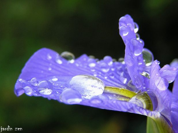 goutte arc en ciel