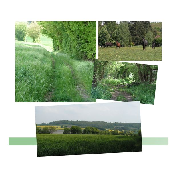 Michel Delpech - Le Blé En Herbe Michel Delpech - Le Blé En Herbe