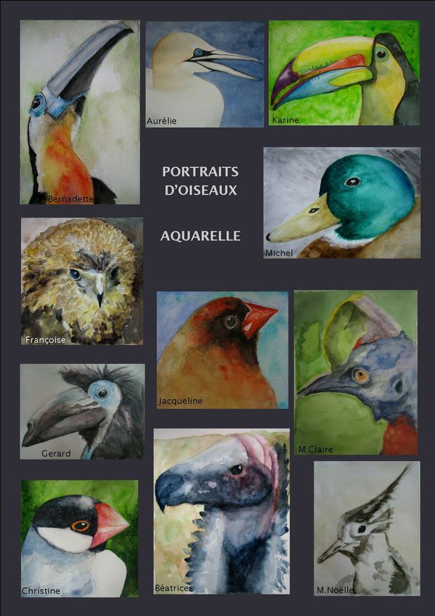 Portraits d'oiseaux