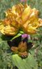 2010-07-13 Amuse Travel J3 09