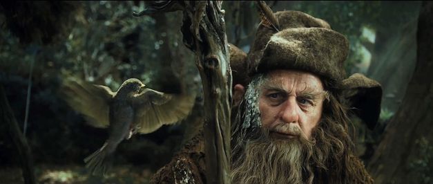 Bilbo-le-hobbit-un-voyage-inattendu-F---14-.jpg