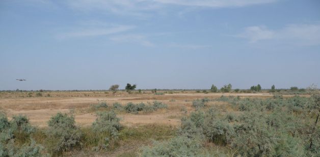 Savane à Fayille