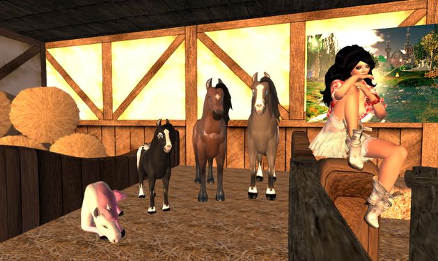 les chevaux 2