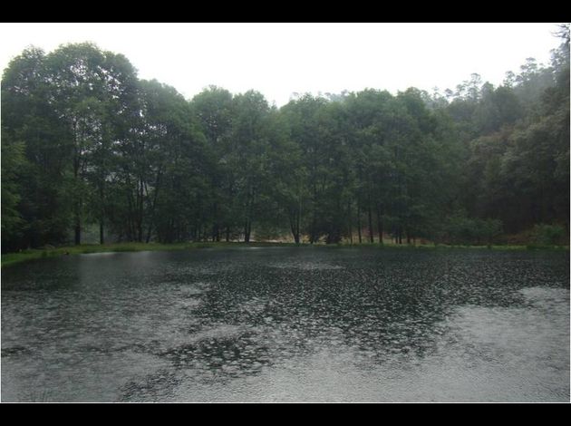 Bosques del Zembo