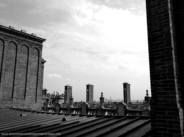 Cheminées Visite des toits du Château de Saint-Germain-en-Laye