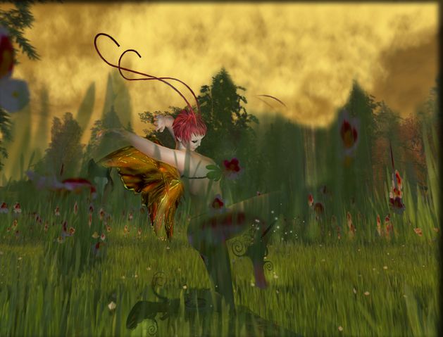 chasse papillon fredylajoie