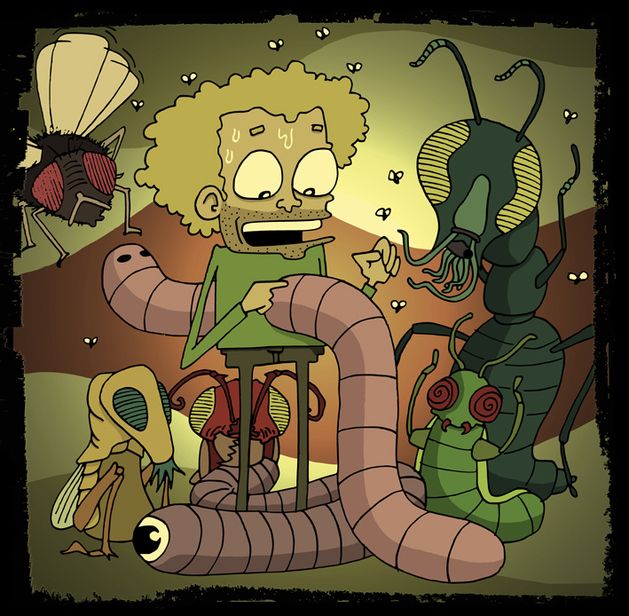 Insectes