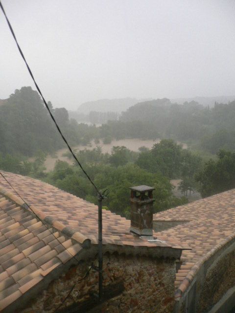 P1020202.JPG