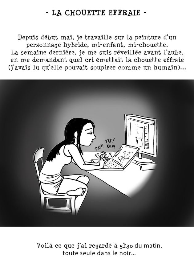chouette1-copie-2.jpg