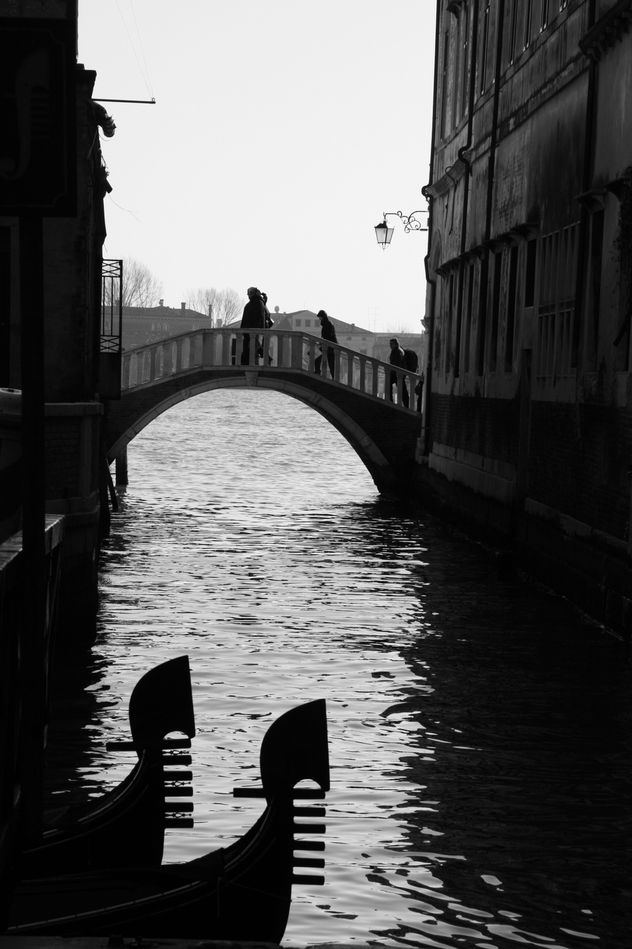 carnaval à venise en 2010 4705