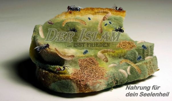 Der Islam - Verschimmeltes Brot 6 klein