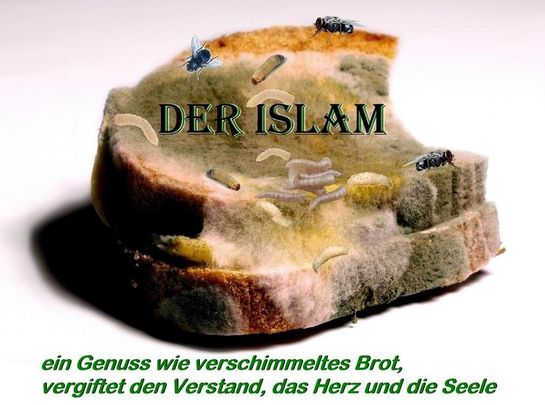 Der Islam - Verschimmeltes Brot 7 klein