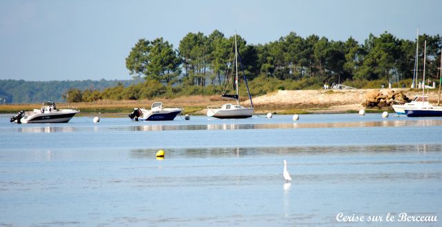 bateaux-andernos.jpg