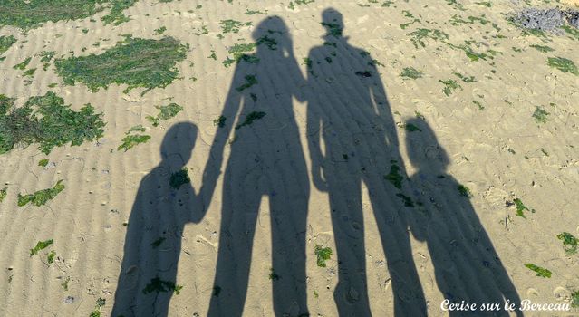 famille-cerise-ombre-chinoises.jpg