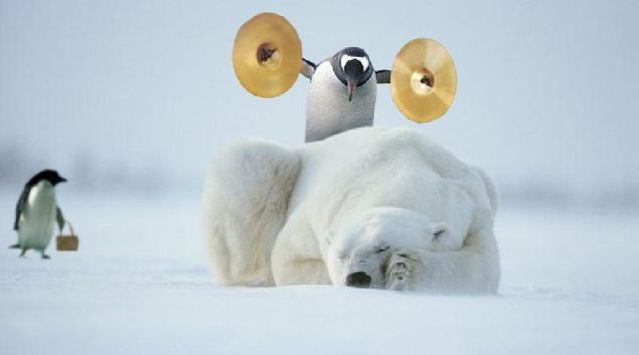 Résultat de recherche d'images pour "pingouin fail"