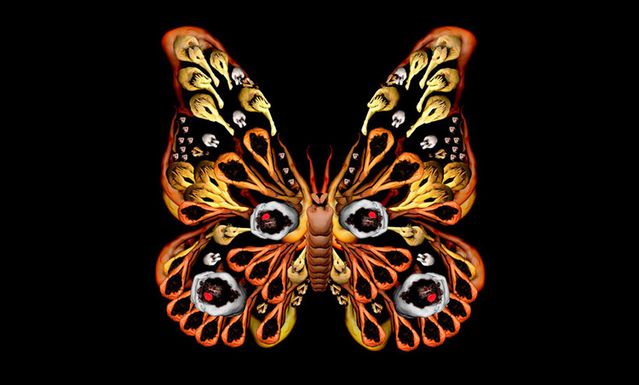 papillon-Cecelia-Webber--6-.jpg