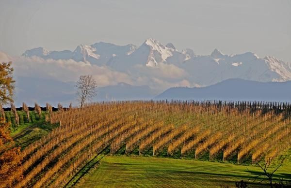 w-_0087-copie.jpg
