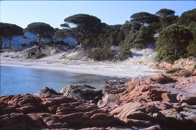 Palumbaghia-2e-plage-1986.jpg