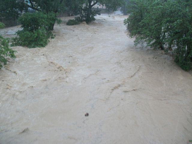 DSCF0669