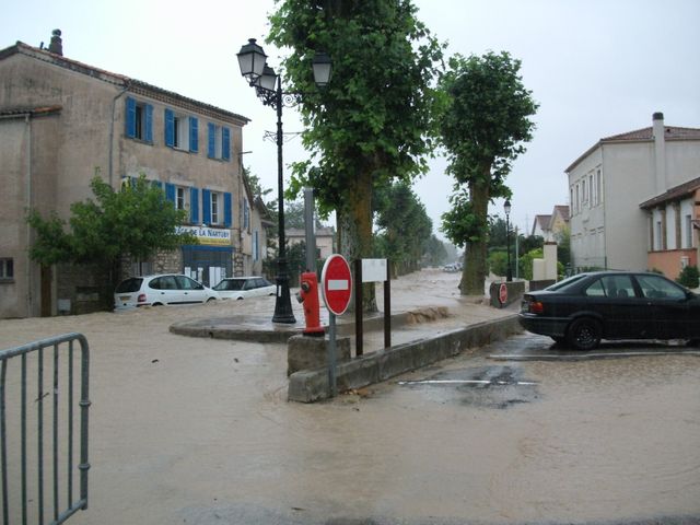 DSCF0673.JPG