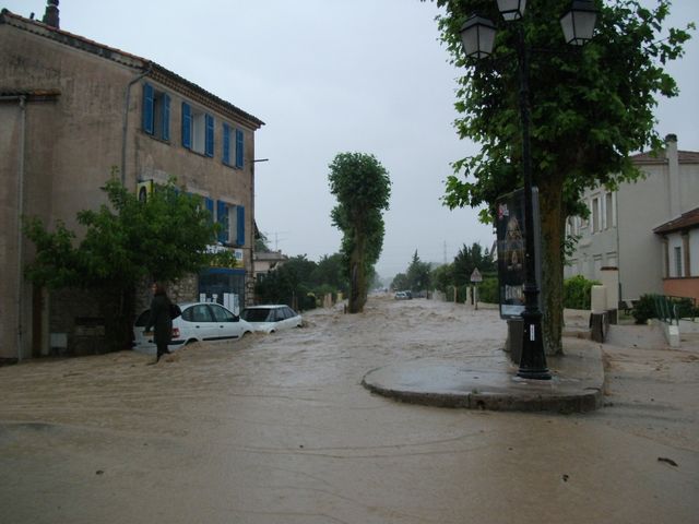 DSCF0674.JPG