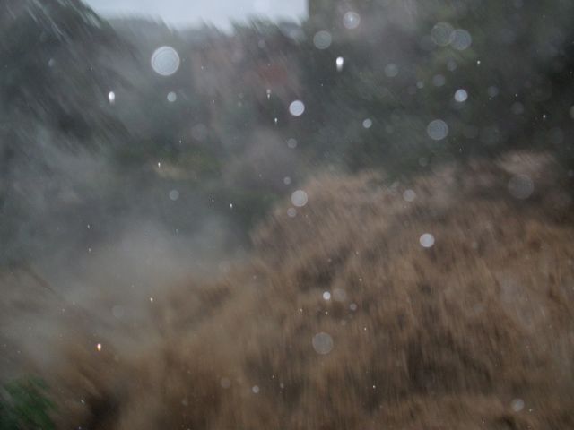 DSCF0679.JPG