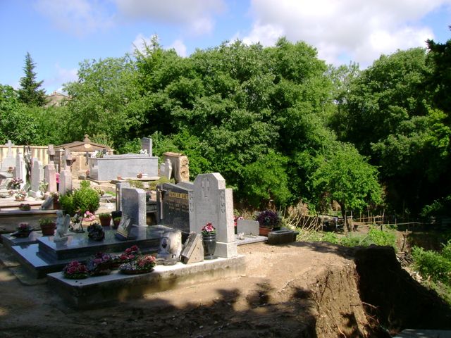 DSC03750