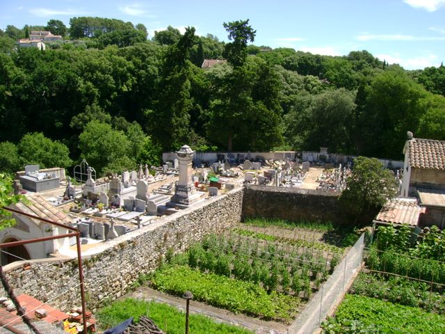 DSC03875