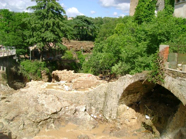 DSC03780.JPG