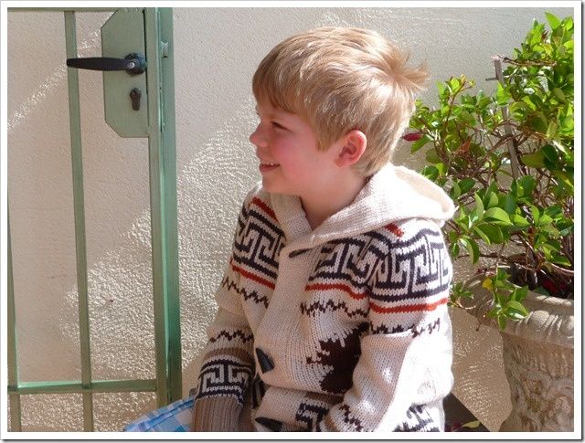 http://img.over-blog.com/640x485/1/82/52/52/API/2012-04/24/P1020311_thumb.jpg