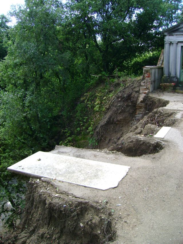DSC03755