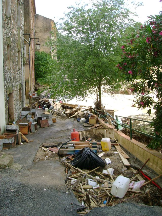DSC03778.JPG