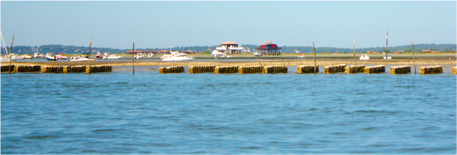 Cabanes Tchanquées - île aux oiseaux