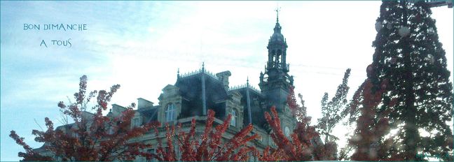 Bon dimanche 25 11 2012