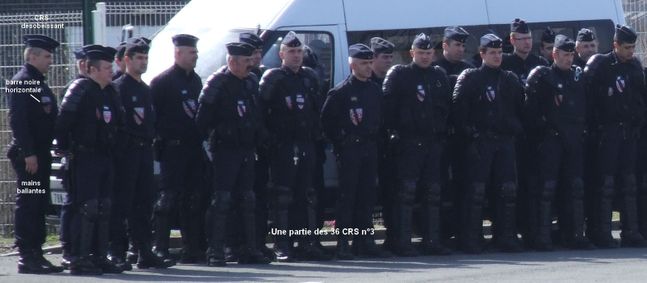crs n°3