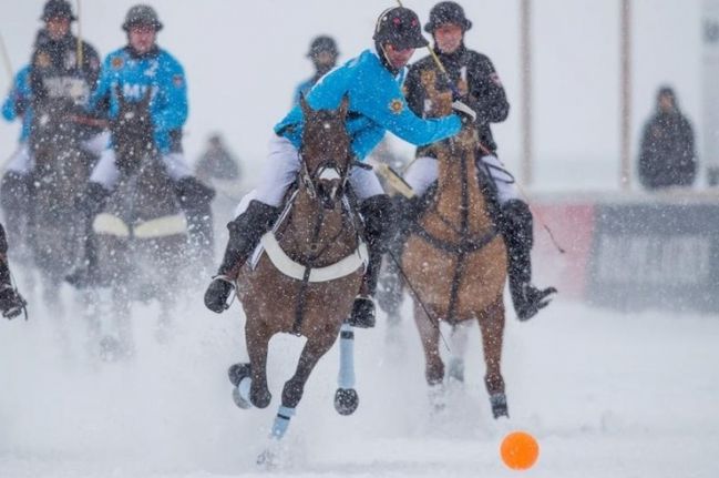 polosm49.jpg
