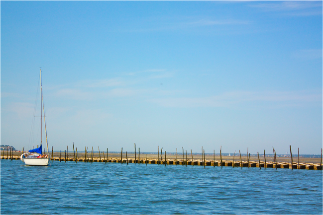 Bassin d'Arcachon - parc à huitres