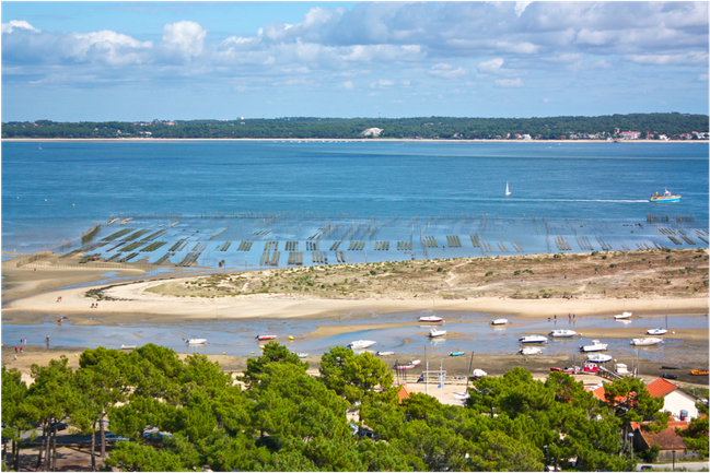 parc à huîtres - Bassin d'Arcachon