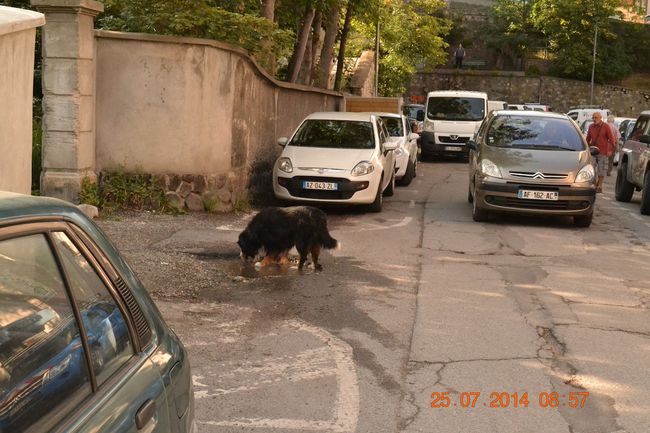 2014-08-07-Rue-du-Gal-Colaud 4208