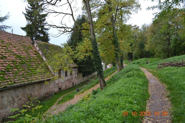 DSC 1354