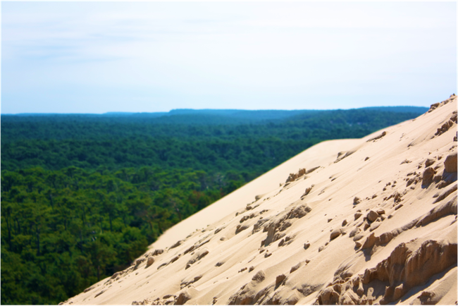 Dune du Pyla